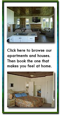 click here to browse our apartments and houses. Then book the one that makes you feel at home.