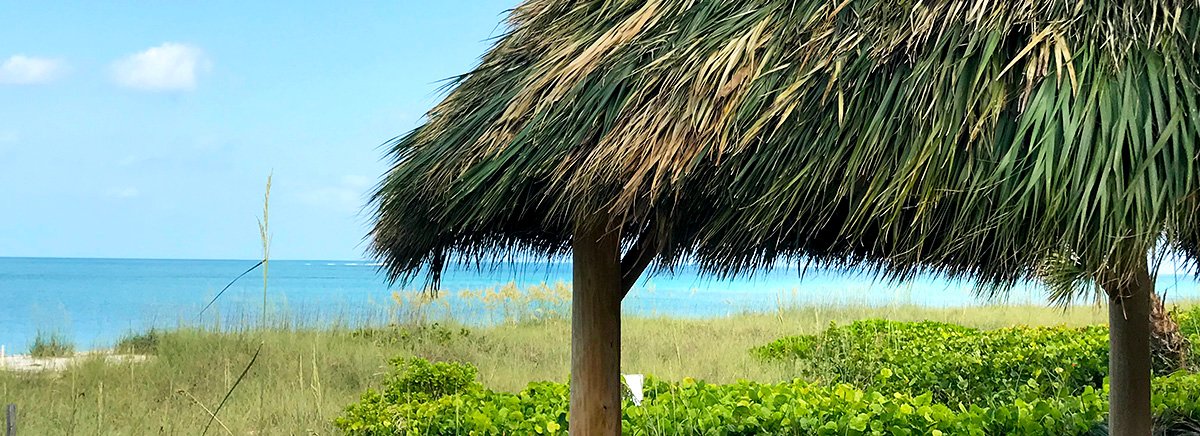 edge of pavilion roof with the Gulf of Mexico in the background